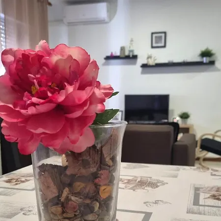 Cayetano Apartamento *
